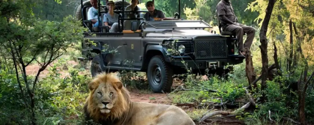 Luxurious 5-Star Adventure-1